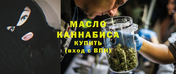 индика Абинск