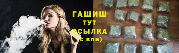 индика Абинск