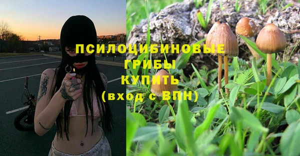 индика Абинск