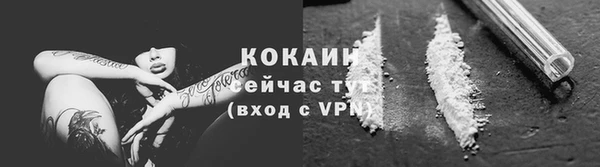 твердый Абаза