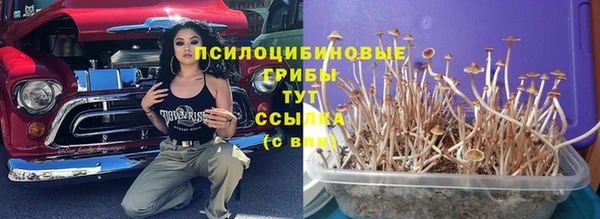 твердый Абаза