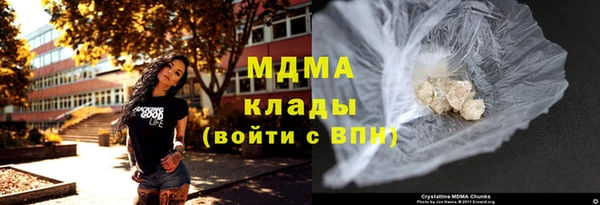 индика Абинск